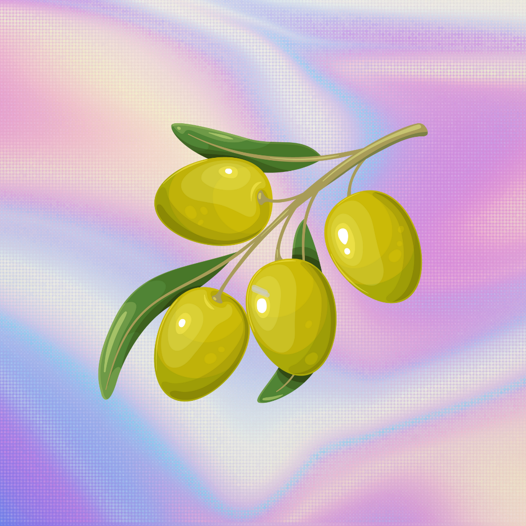 OLIVE OIL
